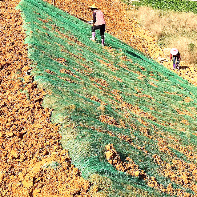 plastic three dimensions geomat for slope protection (2).jpg plastic three dimensions geomat for slope protection (2).jpg